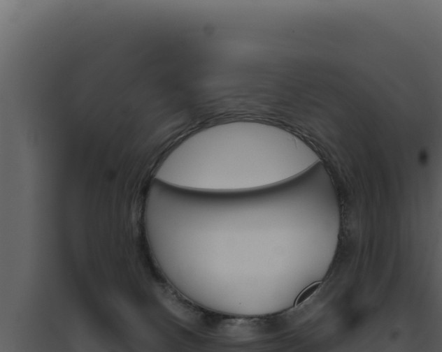 X0000094820082200711161038