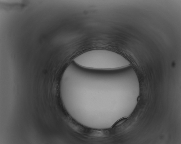 X0000094820083200711161038