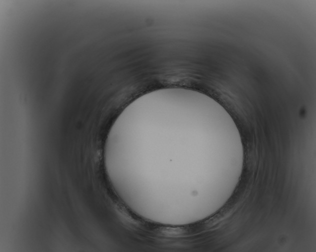 X0000094820085200711161038