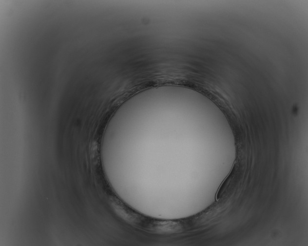 X0000094820087200711161039