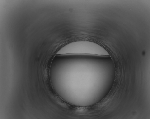X0000094820088200711161039