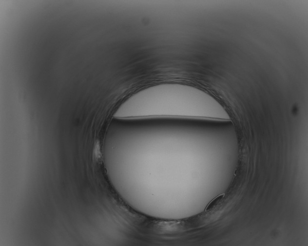 X0000094820089200711161039