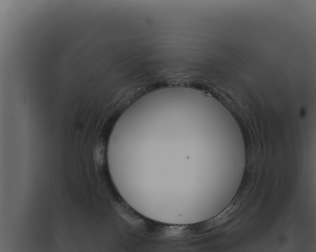 X0000094820090200711161039