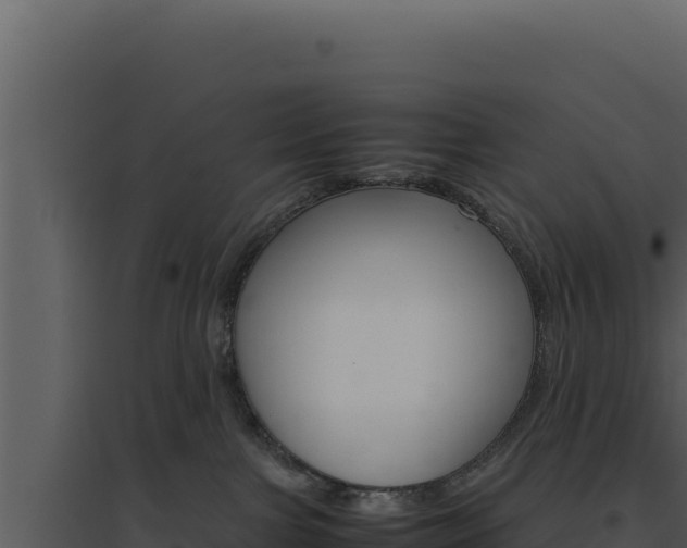X0000094820091200711161039