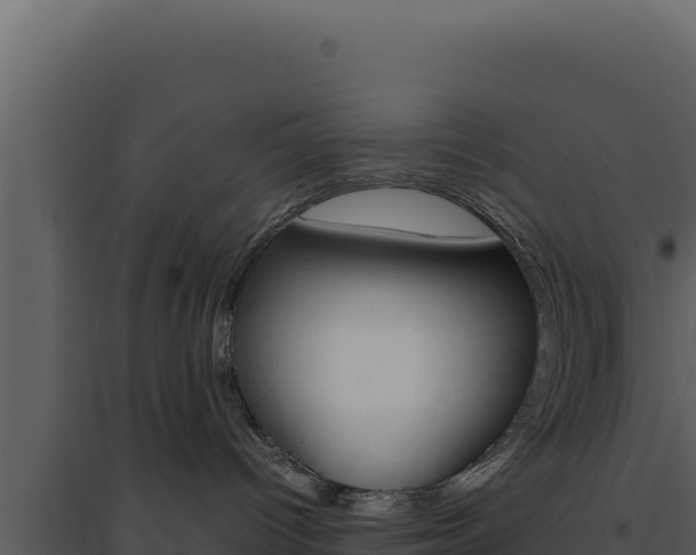 X0000094820096200711161039