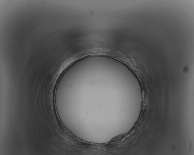 X0000094820099200711161038
