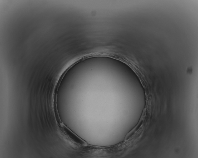 X0000094820100200711161038