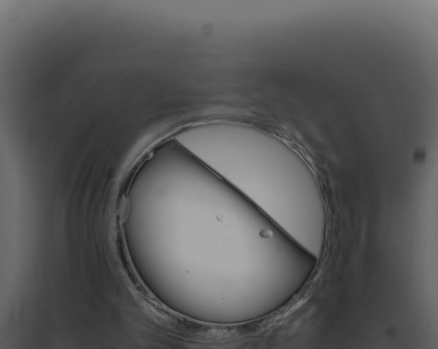 X0000094820101200711161038