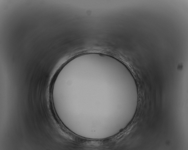 X0000094820102200711161038