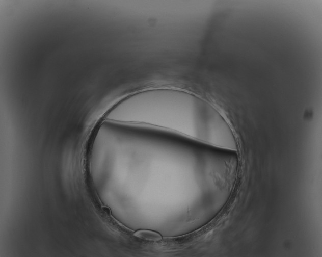 X0000094820103200711161038
