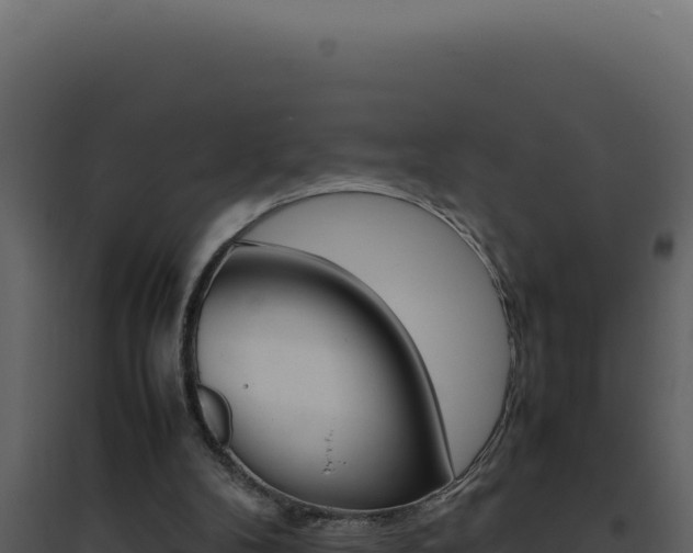 X0000094820104200711161038
