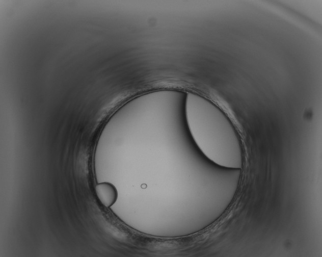 X0000094820106200711161038