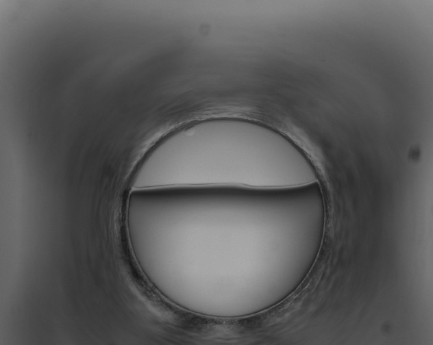 X0000094820107200711161038