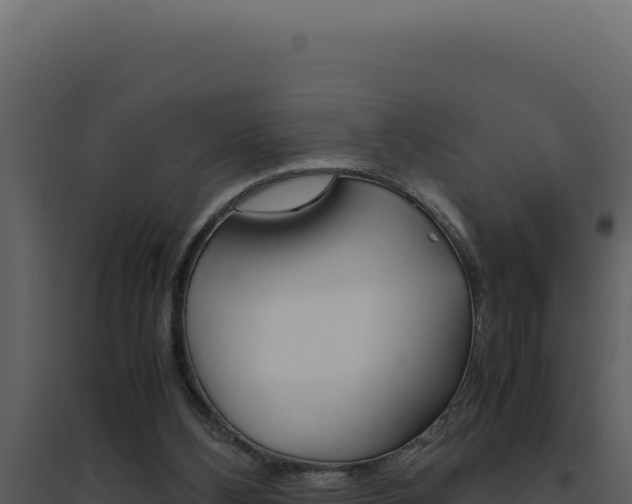 X0000094820108200711161038