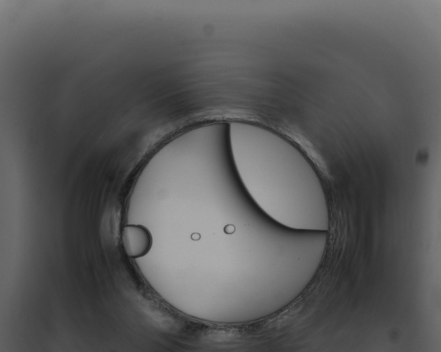 X0000094820110200711161038