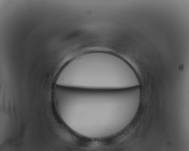 X0000094820111200711161038