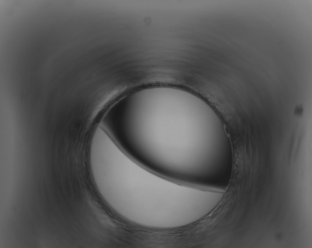 X0000094820112200711161038