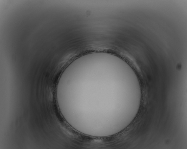 X0000094820114200711161038