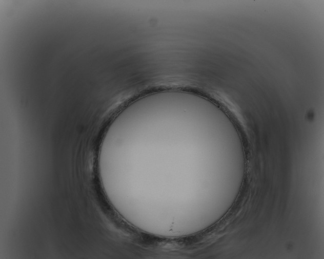 X0000094820115200711161038