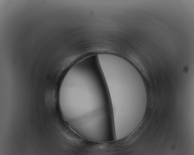 X0000094820116200711161038