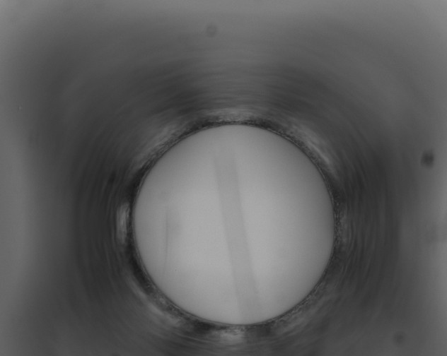 X0000094820118200711161038