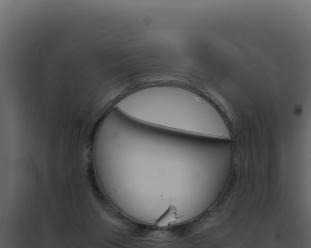X0000094820119200711161038