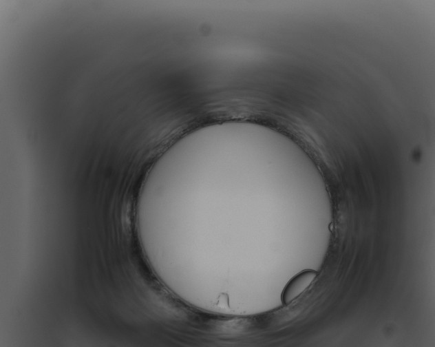 X0000094820122200711161038