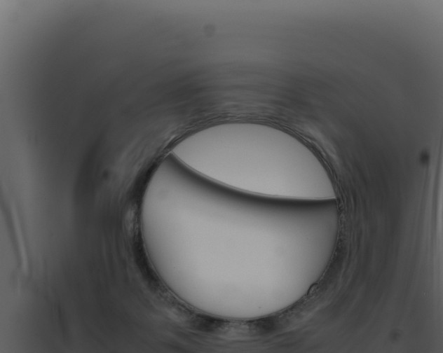 X0000094820123200711161038