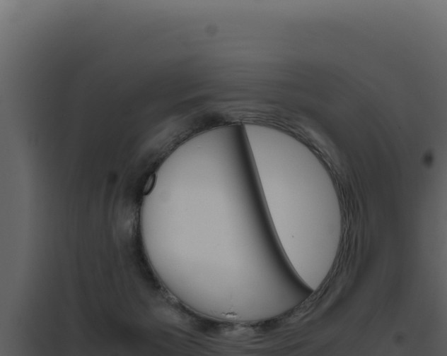 X0000094820125200711161038