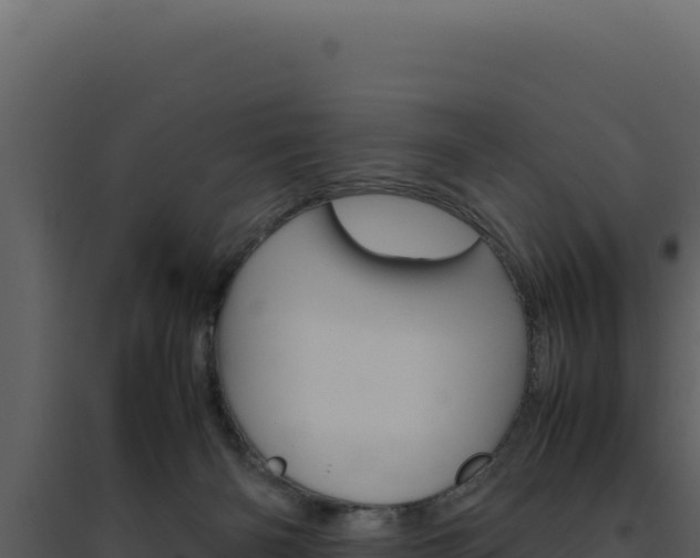 X0000094820126200711161038