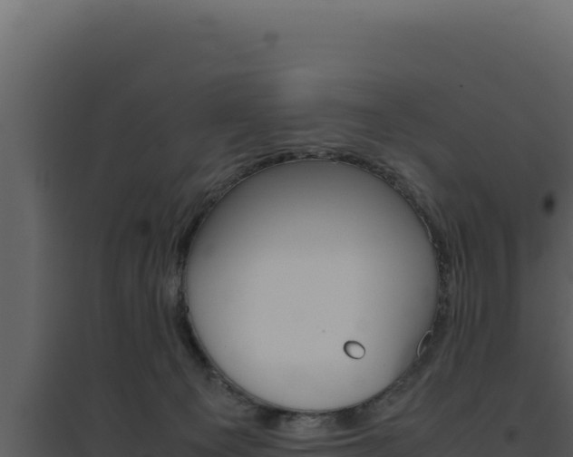 X0000094820129200711161038