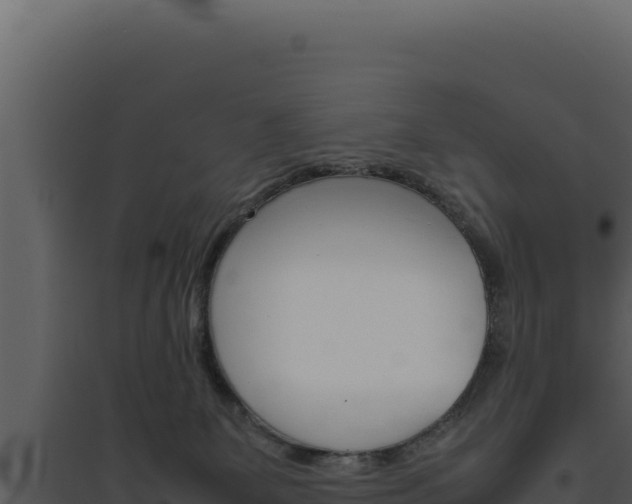 X0000094820131200711161038