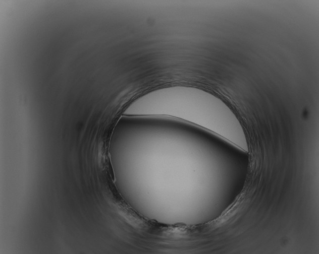 X0000094820140200711161037