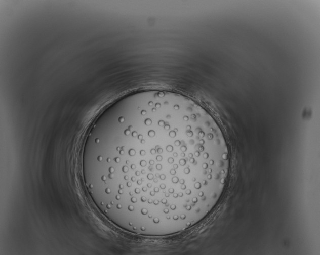 X0000094820145200711161036