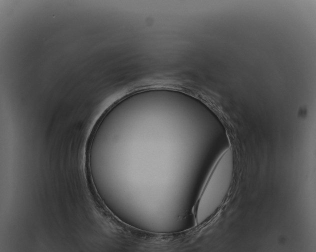 X0000094820148200711161037