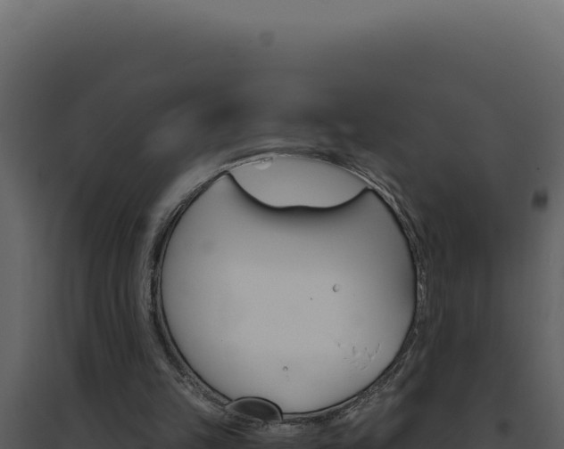 X0000094820149200711161037