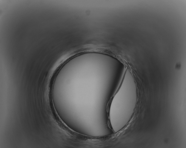X0000094820150200711161037