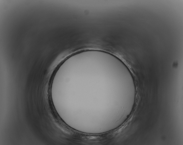 X0000094820151200711161037