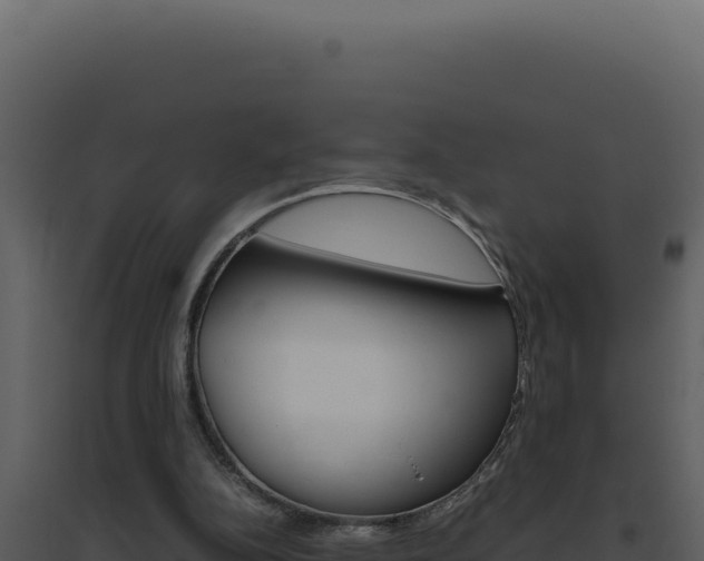 X0000094820152200711161037