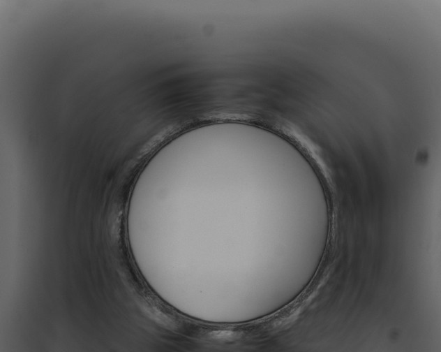 X0000094820153200711161037
