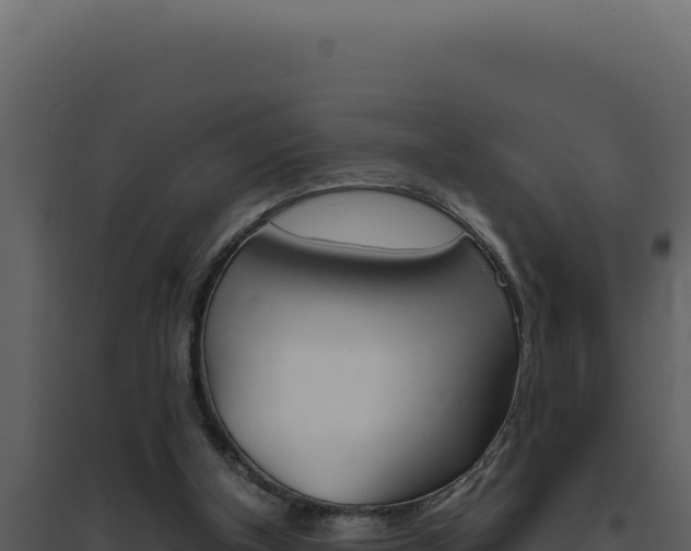 X0000094820154200711161037