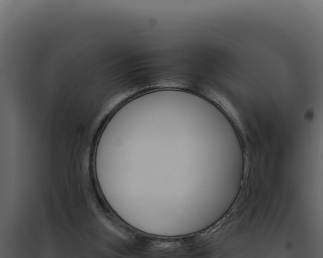 X0000094820155200711161037
