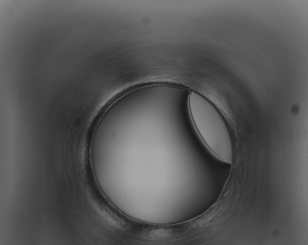 X0000094820156200711161037