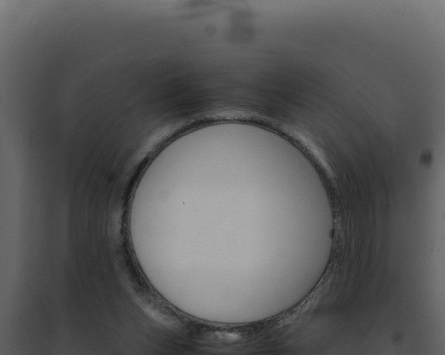 X0000094820159200711161037