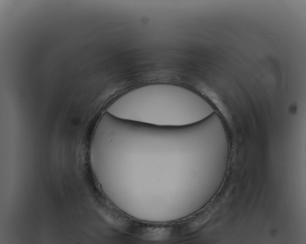X0000094820161200711161037