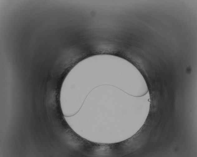 X0000094820162200711161037