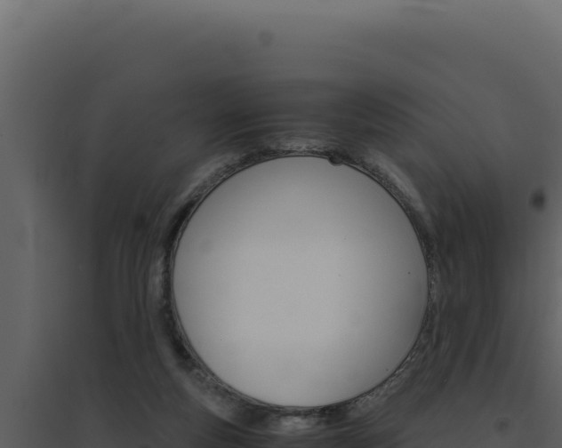 X0000094820163200711161037