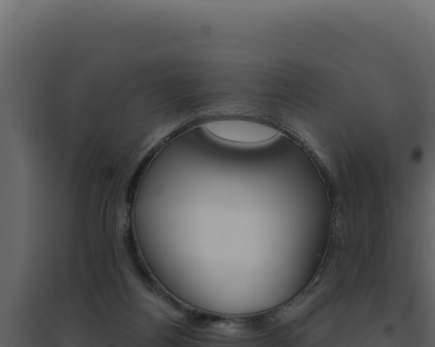 X0000094820164200711161037
