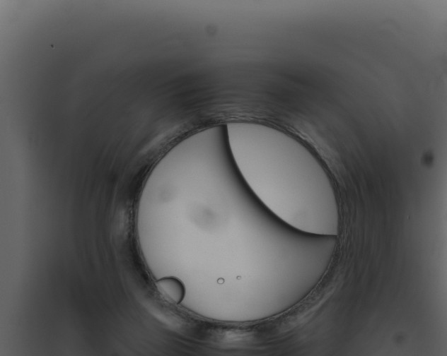 X0000094820165200711161037