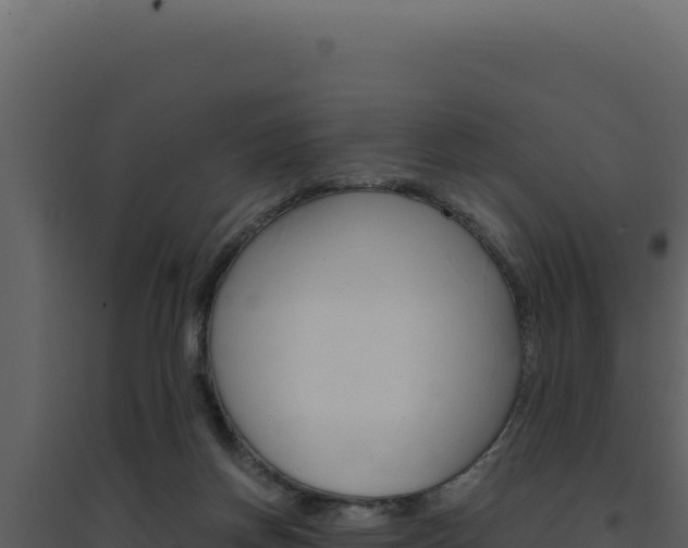X0000094820166200711161037
